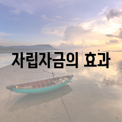 자립자금의 효과