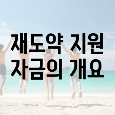 재도약 지원 자금의 개요