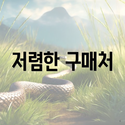 저렴한 구매처