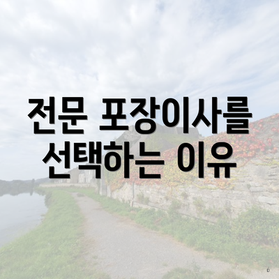 전문 포장이사를 선택하는 이유