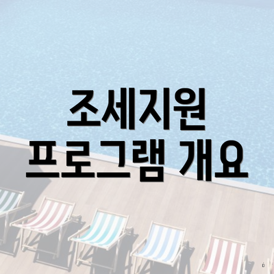 조세지원 프로그램 개요