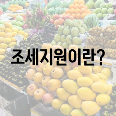 조세지원이란?