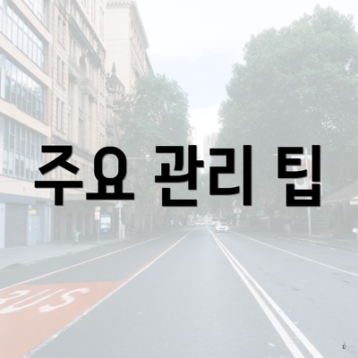 주요 관리 팁