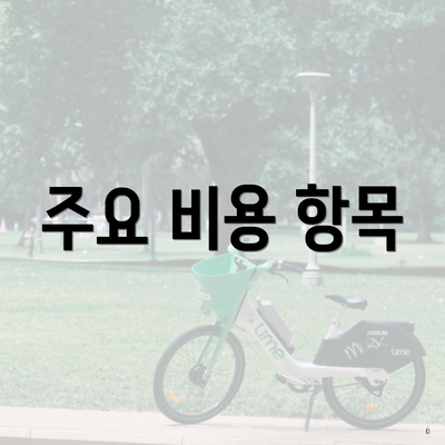 주요 비용 항목