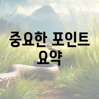 중요한 포인트 요약