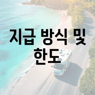 지급 방식 및 한도