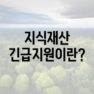 지식재산 긴급지원이란?