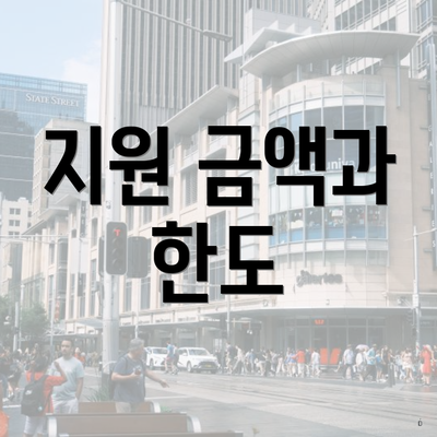 지원 금액과 한도