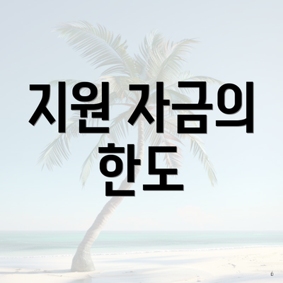 지원 자금의 한도