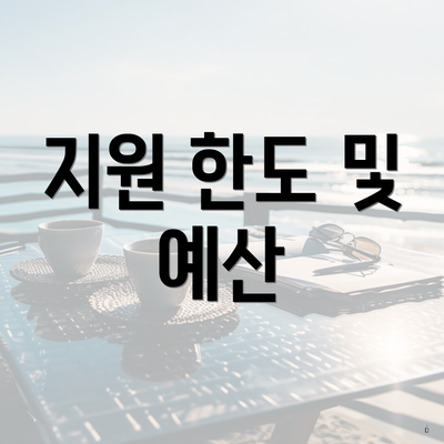 지원 한도 및 예산