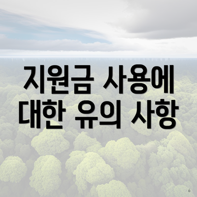 지원금 사용에 대한 유의 사항