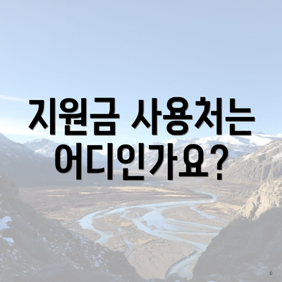지원금 사용처는 어디인가요?