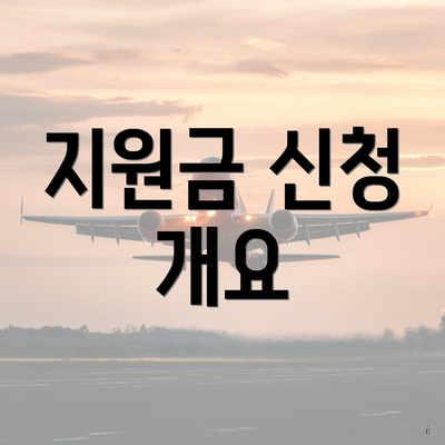 지원금 신청 개요