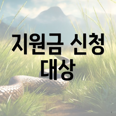 지원금 신청 대상
