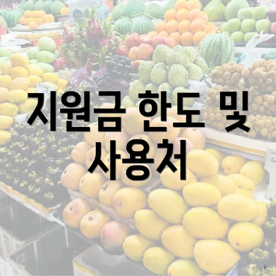 지원금 한도 및 사용처