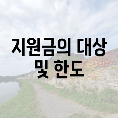 지원금의 대상 및 한도