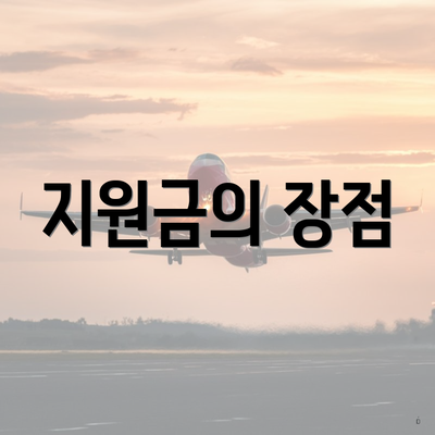 지원금의 장점