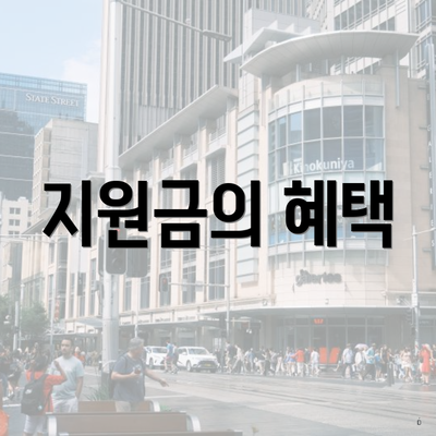 지원금의 혜택