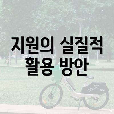지원의 실질적 활용 방안