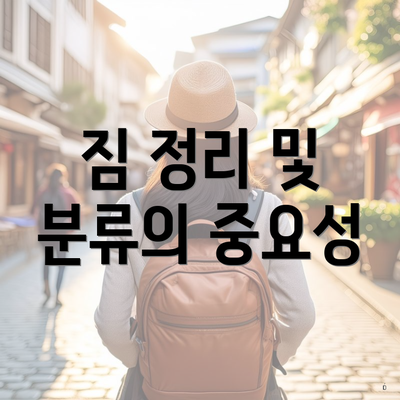 짐 정리 및 분류의 중요성
