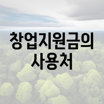 창업지원금의 사용처
