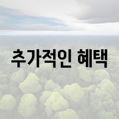 추가적인 혜택