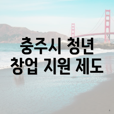 충주시 청년 창업 지원 제도