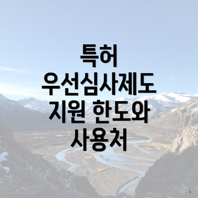 특허 우선심사제도 지원 한도와 사용처