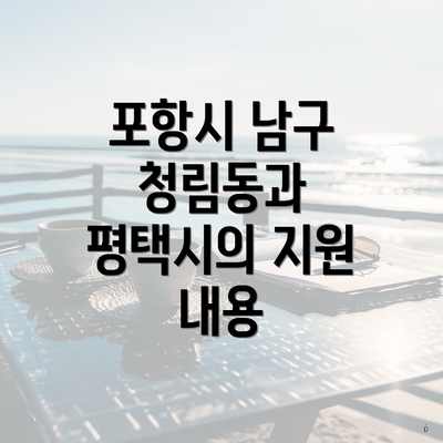 포항시 남구 청림동과 평택시의 지원 내용