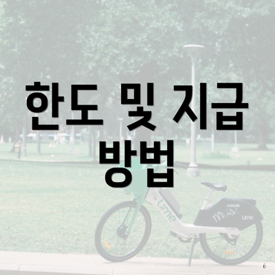 한도 및 지급 방법