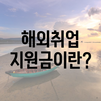 해외취업 지원금이란?