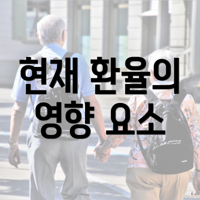 현재 환율의 영향 요소