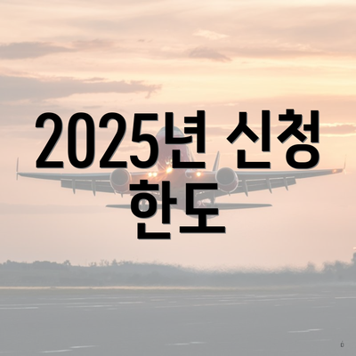 2025년 신청 한도