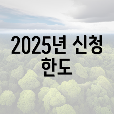 2025년 신청 한도