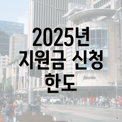 2025년 지원금 신청 한도