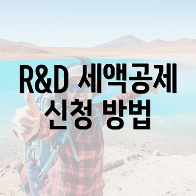 R&D 세액공제 신청 방법
