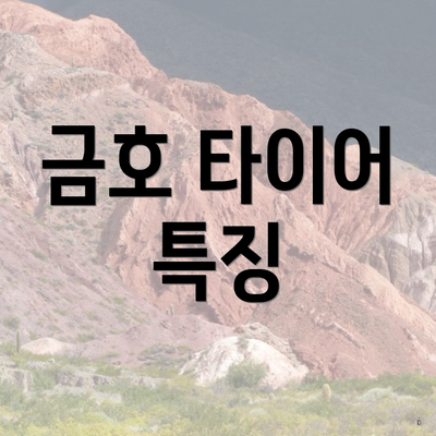 금호 타이어 특징