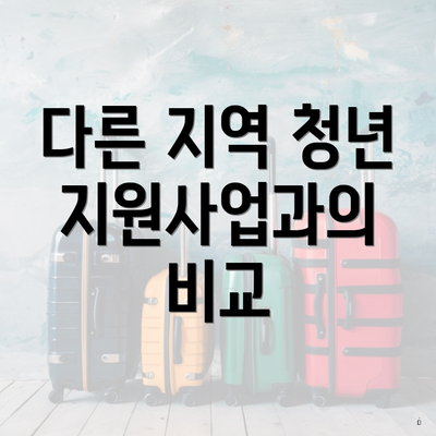 다른 지역 청년 지원사업과의 비교