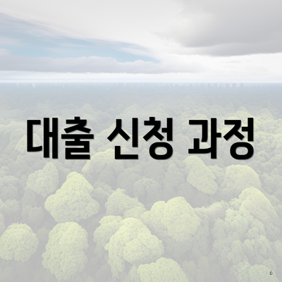 대출 신청 과정