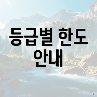 등급별 한도 안내