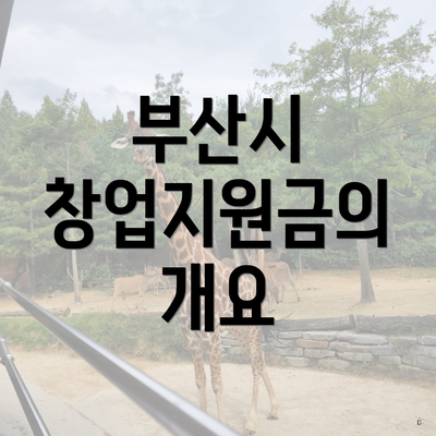부산시 창업지원금의 개요