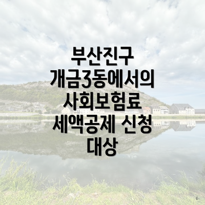 부산진구 개금3동에서의 사회보험료 세액공제 신청 대상