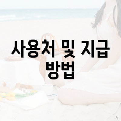 사용처 및 지급 방법