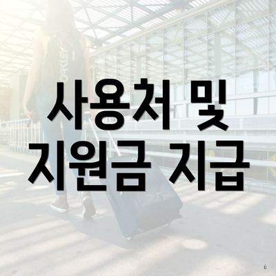 사용처 및 지원금 지급
