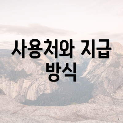 사용처와 지급 방식