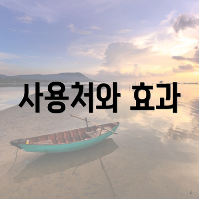 사용처와 효과