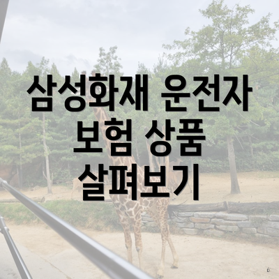 삼성화재 운전자 보험 상품 살펴보기