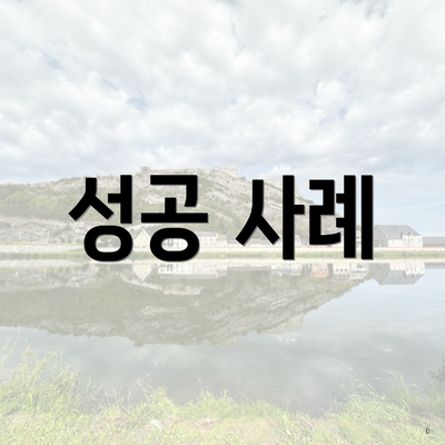 성공 사례