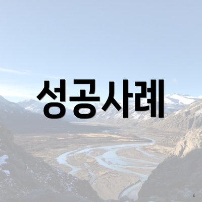 성공사례