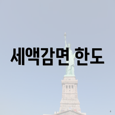 세액감면 한도
